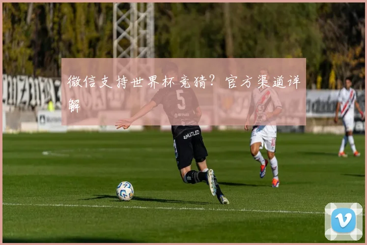 微信支持世界杯竞猜？官方渠道详解