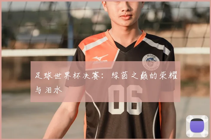 足球世界杯决赛:绿茵之巅的荣耀与泪水