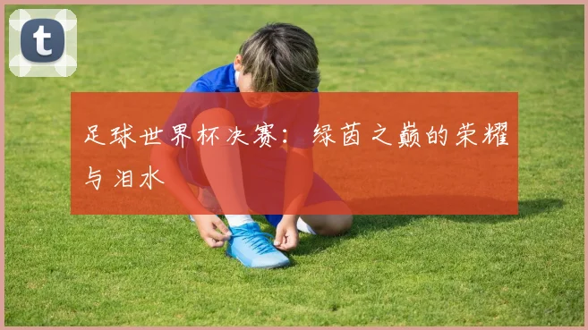 足球世界杯决赛:绿茵之巅的荣耀与泪水
