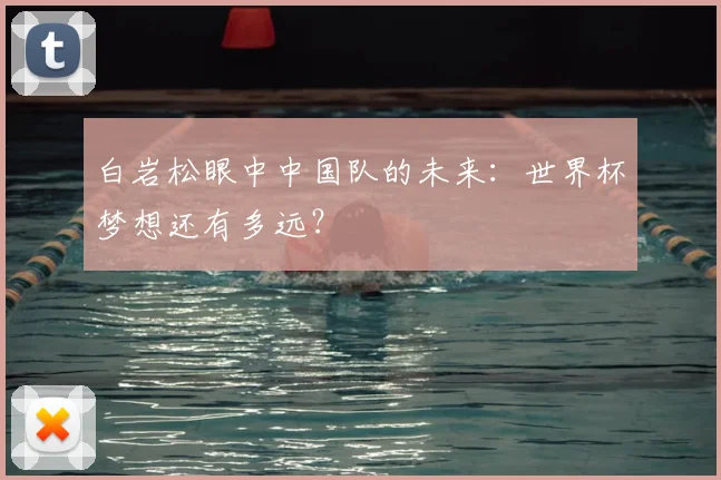 白岩松眼中中国队的未来：世界杯梦想还有多远？