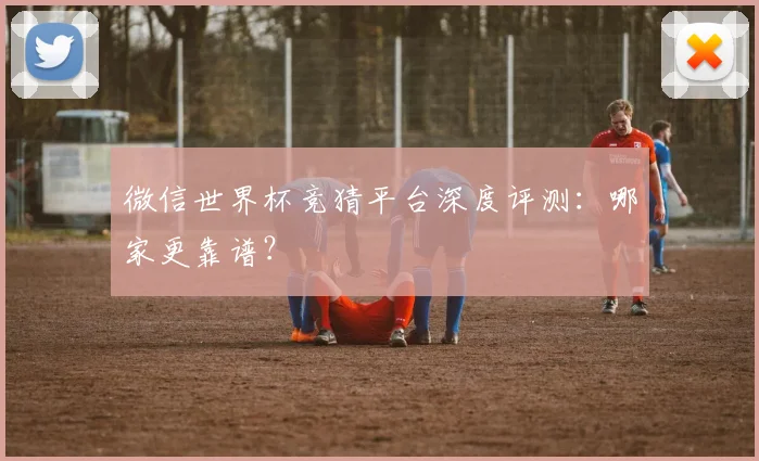 微信世界杯竞猜平台深度评测：哪家更靠谱？