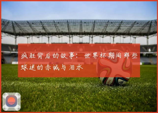 疯狂背后的故事：世界杯期间那些球迷的赤诚与泪水