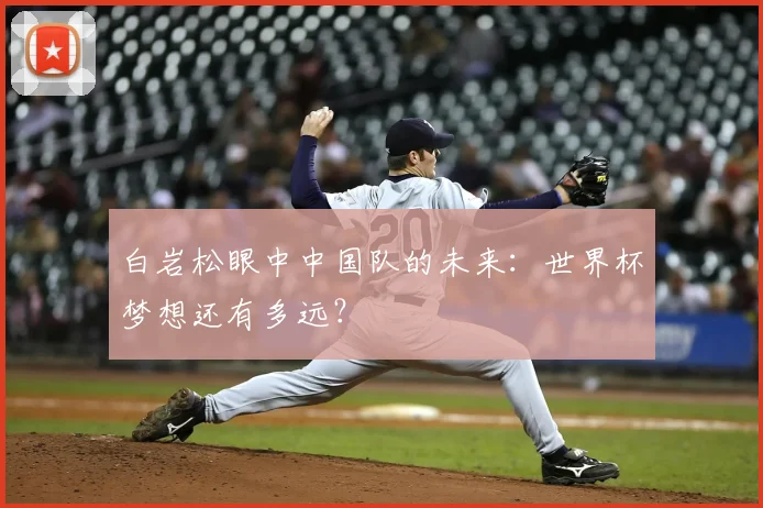 白岩松眼中中国队的未来：世界杯梦想还有多远？