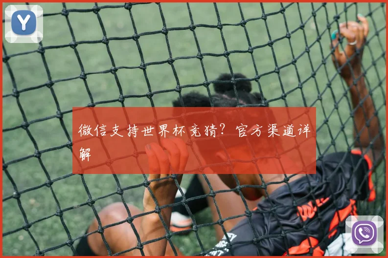微信支持世界杯竞猜？官方渠道详解