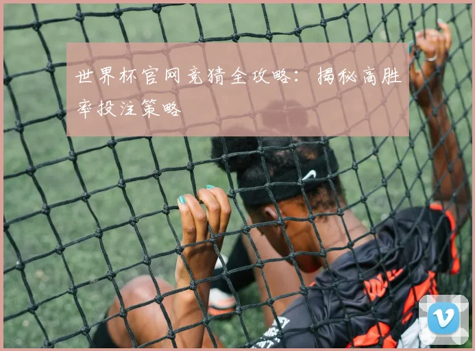 世界杯官网竞猜全攻略：揭秘高胜率投注策略