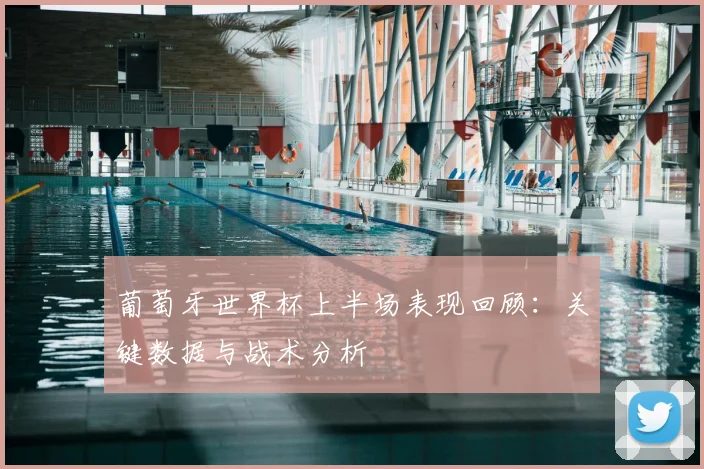 葡萄牙世界杯上半场表现回顾:关键数据与战术分析