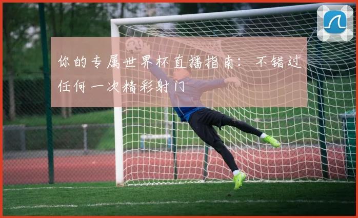 你的专属世界杯直播指南：不错过任何一次精彩射门