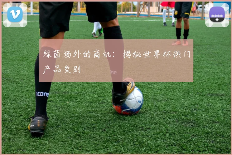 绿茵场外的商机：揭秘世界杯热门产品类别