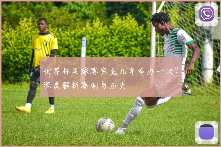 世界杯足球赛究竟几年举办一次？深度解析赛制与历史