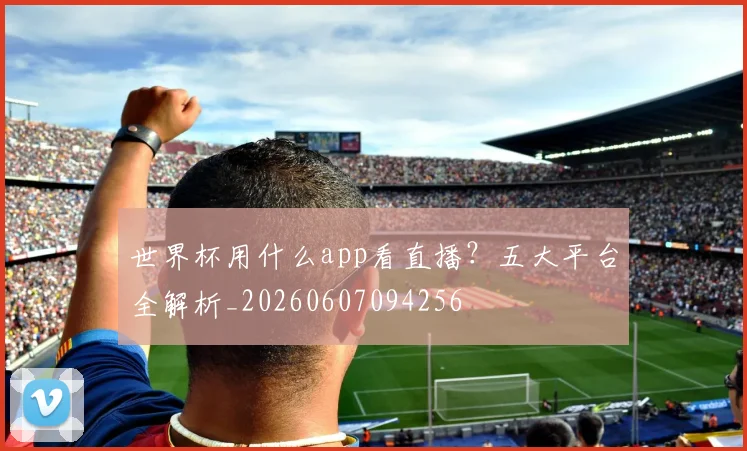 世界杯用什么app看直播？五大平台全解析_20260607094256