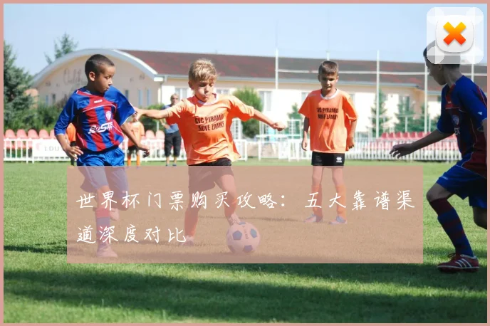 世界杯门票购买攻略：五大靠谱渠道深度对比
