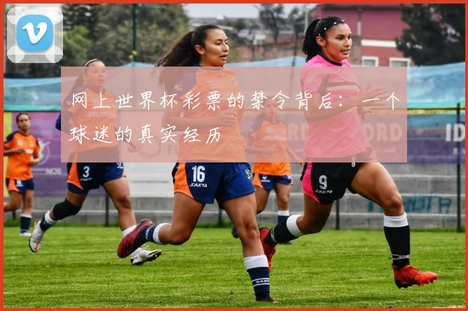网上世界杯彩票的禁令背后：一个球迷的真实经历