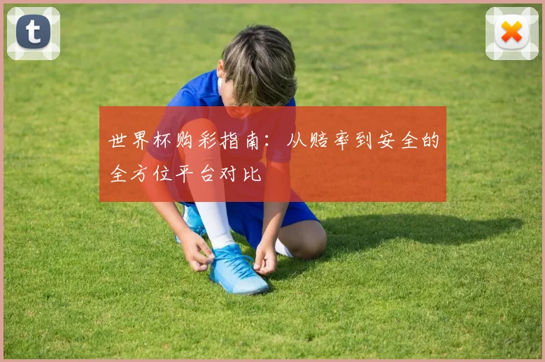 世界杯购彩指南：从赔率到安全的全方位平台对比