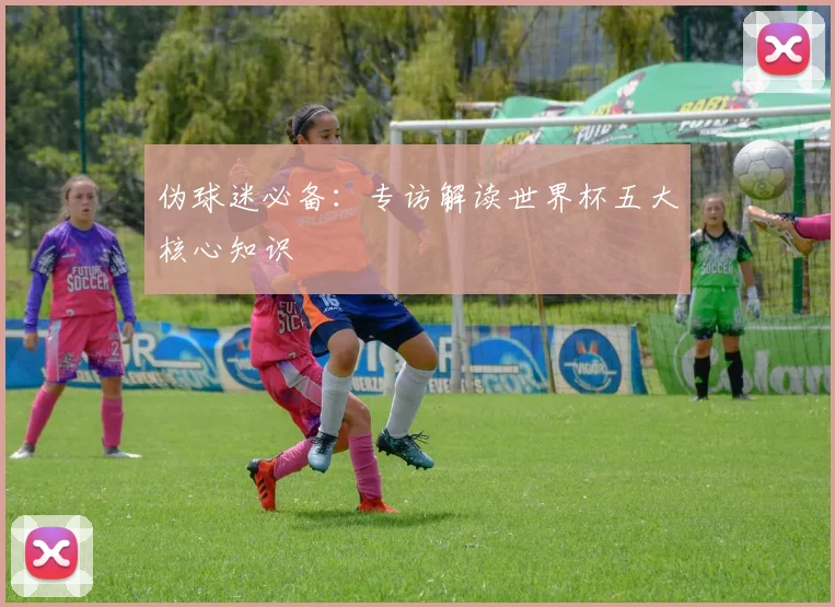 伪球迷必备：专访解读世界杯五大核心知识