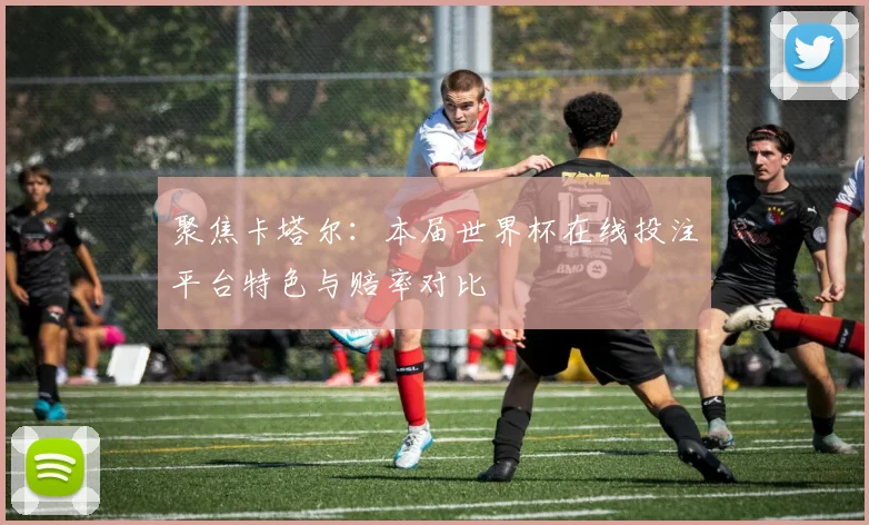 聚焦卡塔尔：本届世界杯在线投注平台特色与赔率对比