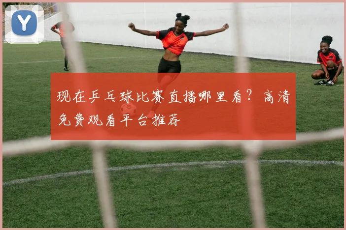 现在乒乓球比赛直播哪里看？高清免费观看平台推荐